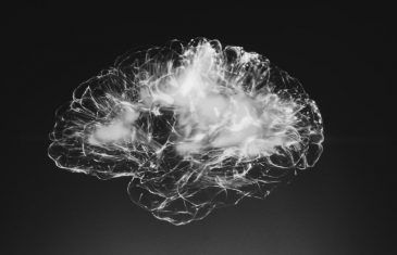 A Neurologist’s Tips for an Elite Brain
