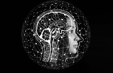 A Neuroscience Professor’s Brain Power Short Course (Part 1 of 3)