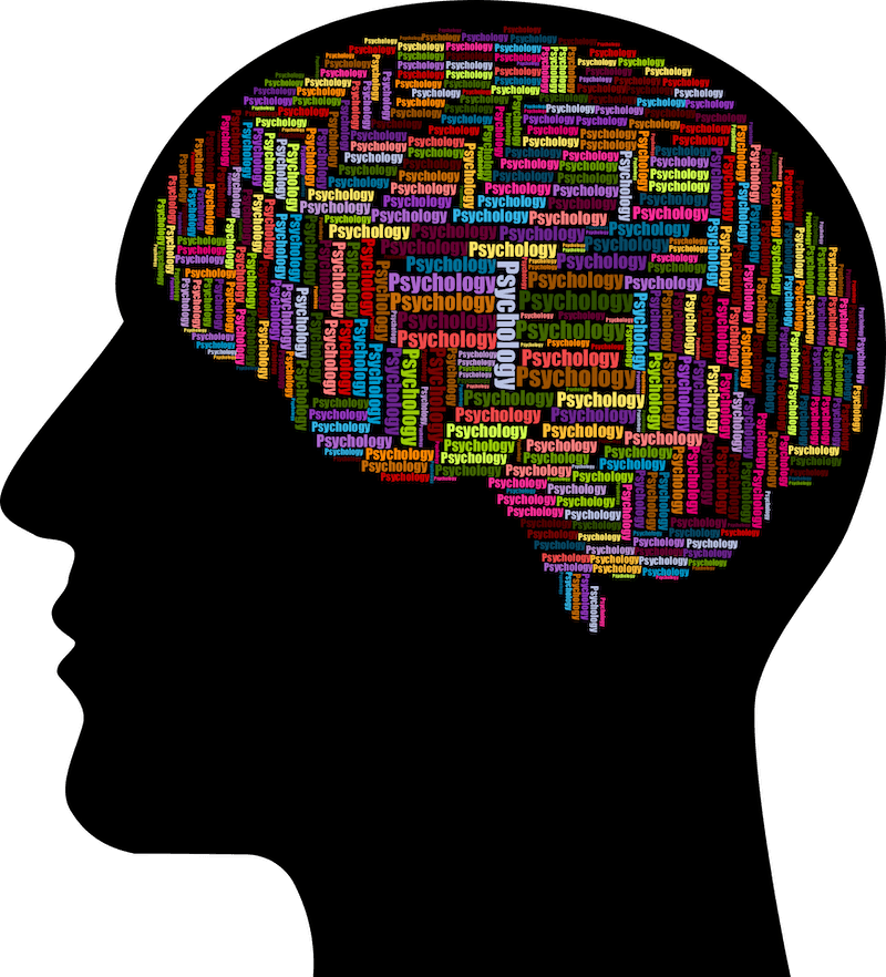A Neuroscience Professor’s Brain Power Short Course