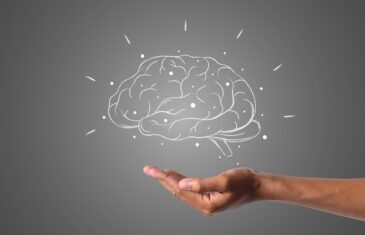 How the Brain processes Content Creation